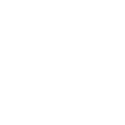 Ohene Aniwa Adinkra symbol