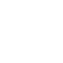 Sankofa Adinkra symbol (step 1)